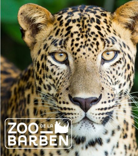 © Zoo de La Barben